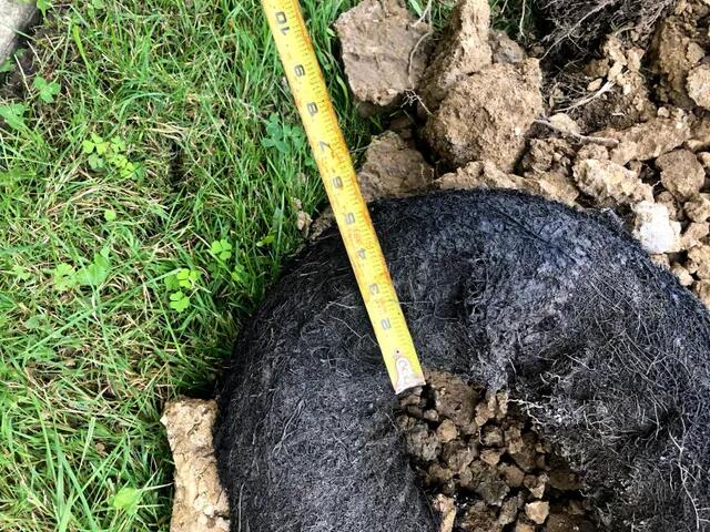 Sewer cleaning project 12