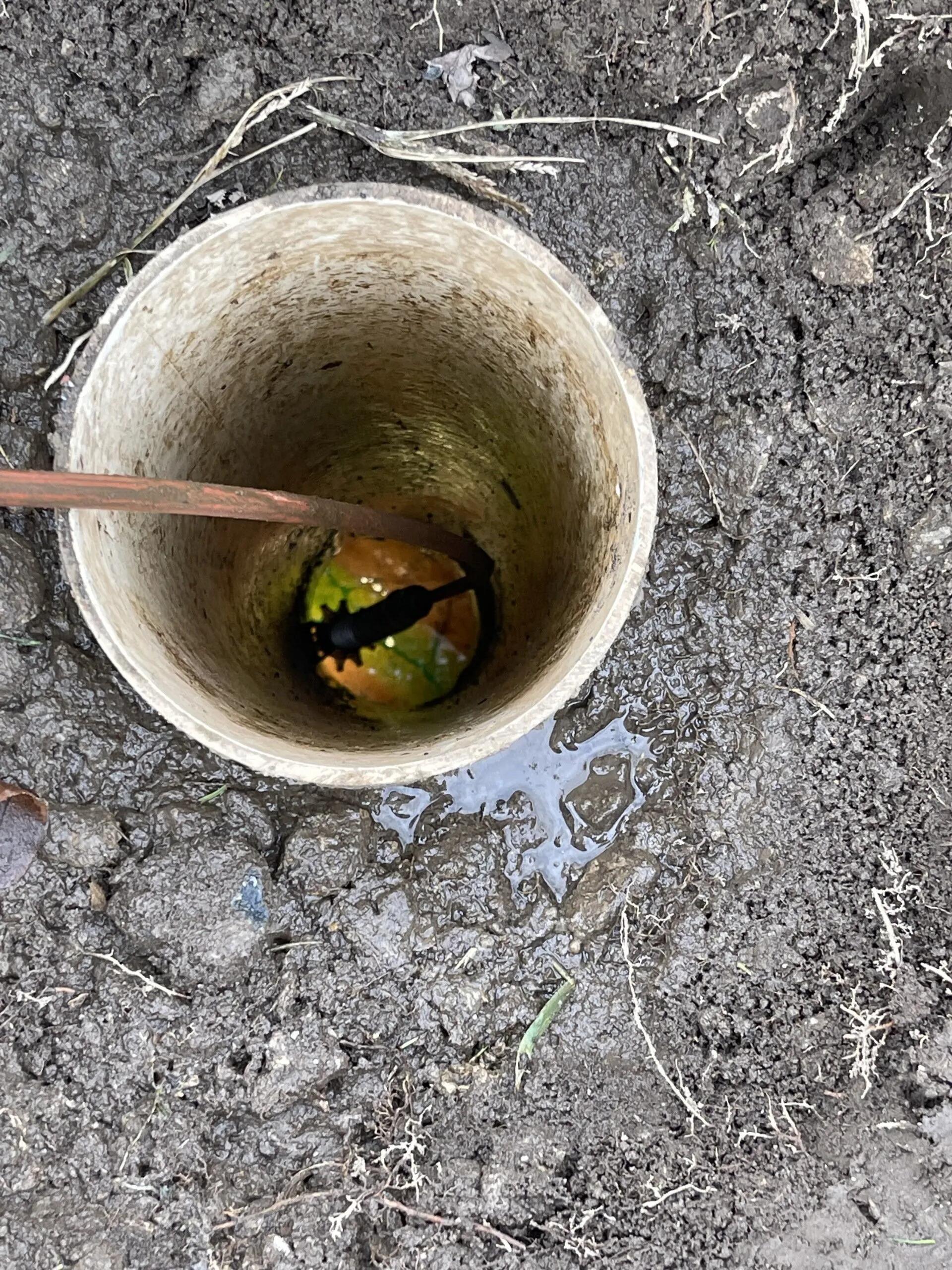 Dye testing procedure