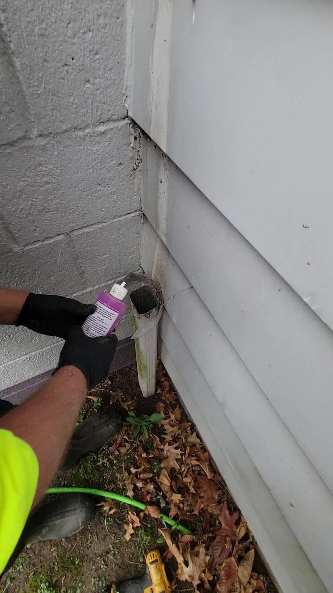 Dye test verification