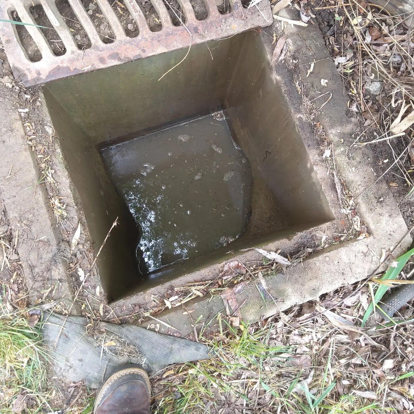 Storm drain inspection